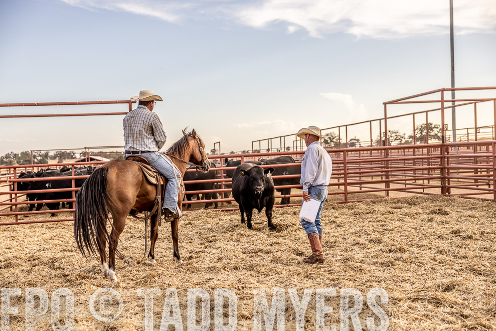 TMyers_SaleBookCover_CameronTX_Sept2021-520238