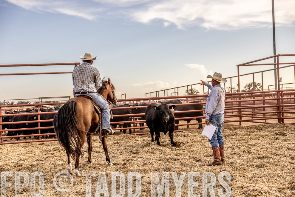 TMyers_SaleBookCover_CameronTX_Sept2021-520247