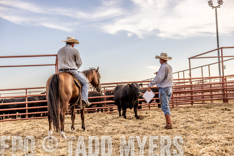 TMyers_SaleBookCover_CameronTX_Sept2021-520257