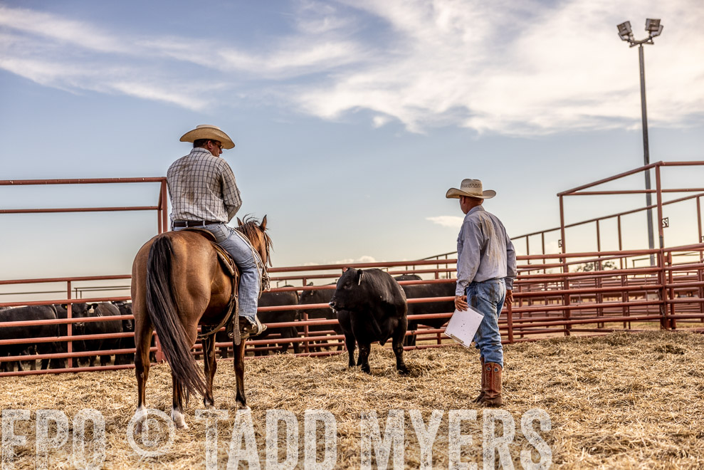 TMyers_SaleBookCover_CameronTX_Sept2021-520265