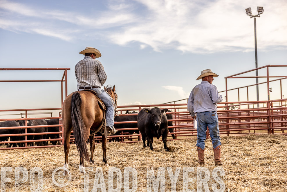 TMyers_SaleBookCover_CameronTX_Sept2021-520275