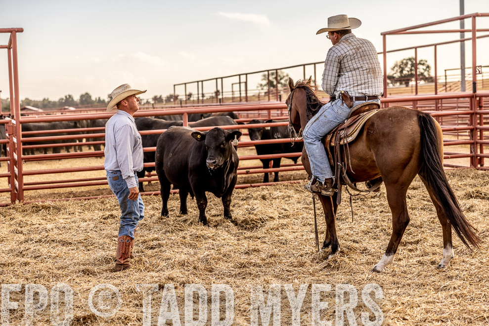 TMyers_SaleBookCover_CameronTX_Sept2021-520331
