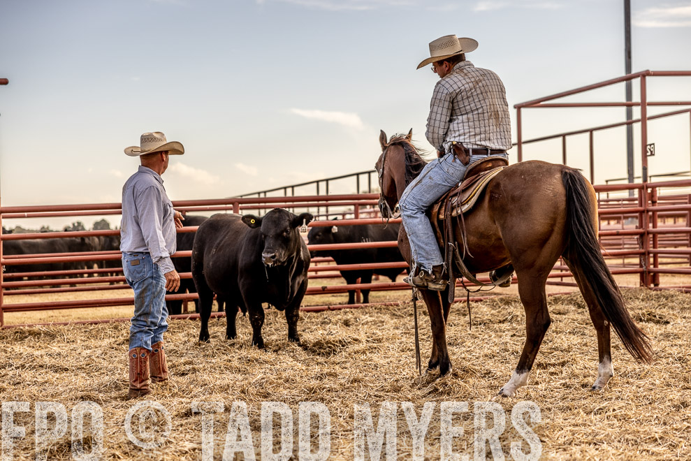 TMyers_SaleBookCover_CameronTX_Sept2021-520333