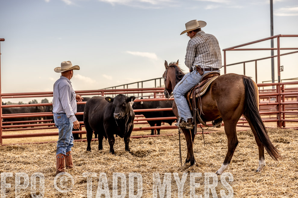 TMyers_SaleBookCover_CameronTX_Sept2021-520334