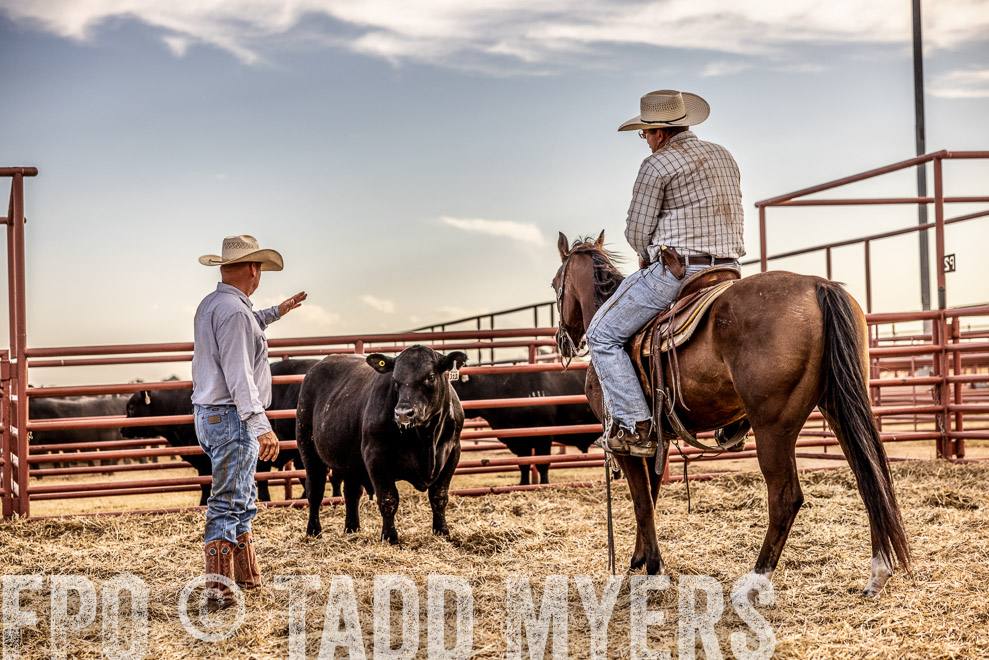 TMyers_SaleBookCover_CameronTX_Sept2021-520336-Edit