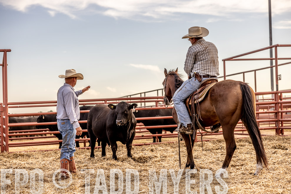 TMyers_SaleBookCover_CameronTX_Sept2021-520336