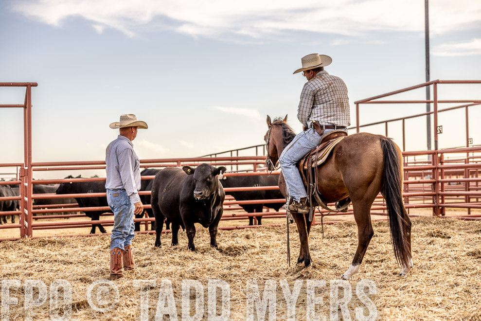 TMyers_SaleBookCover_CameronTX_Sept2021-520340