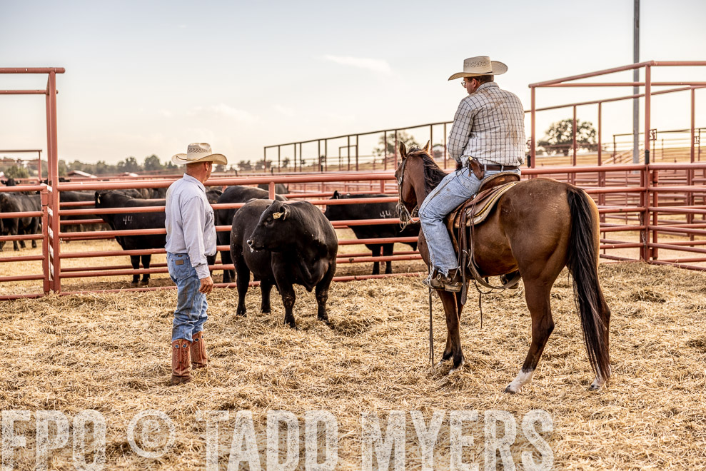 TMyers_SaleBookCover_CameronTX_Sept2021-520345