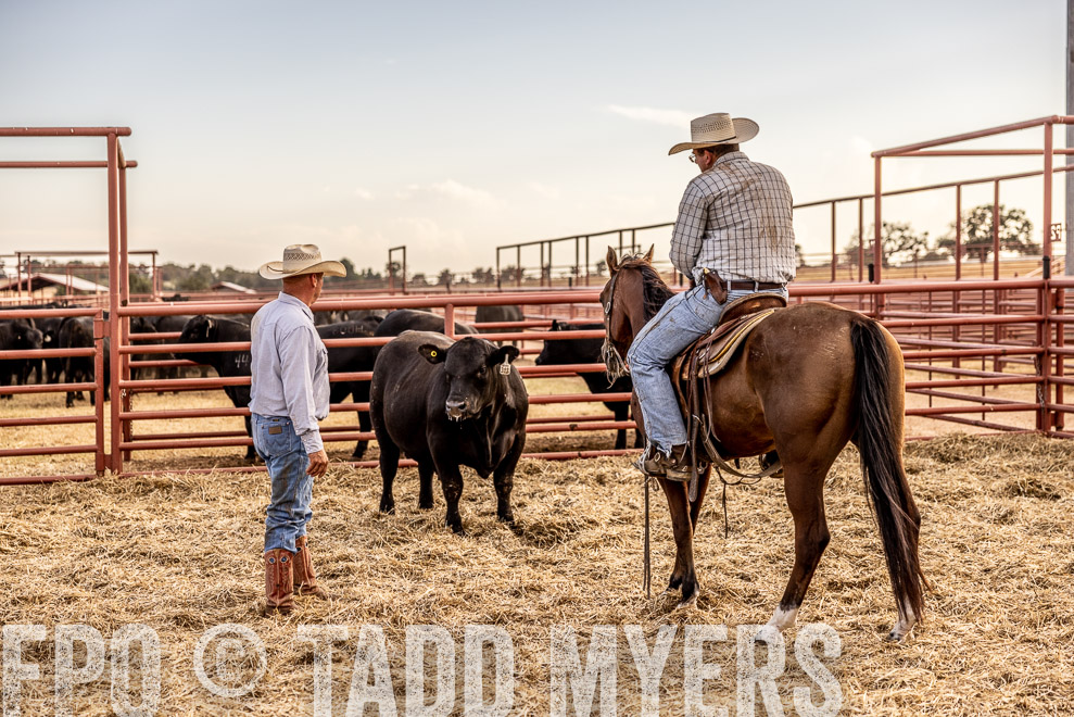 TMyers_SaleBookCover_CameronTX_Sept2021-520349
