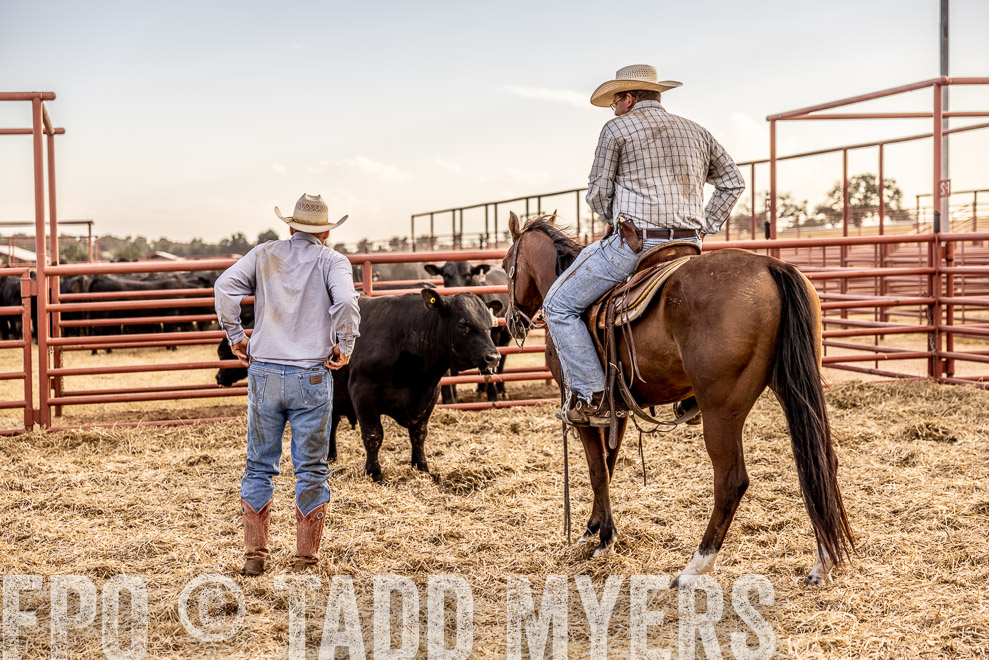 TMyers_SaleBookCover_CameronTX_Sept2021-520372