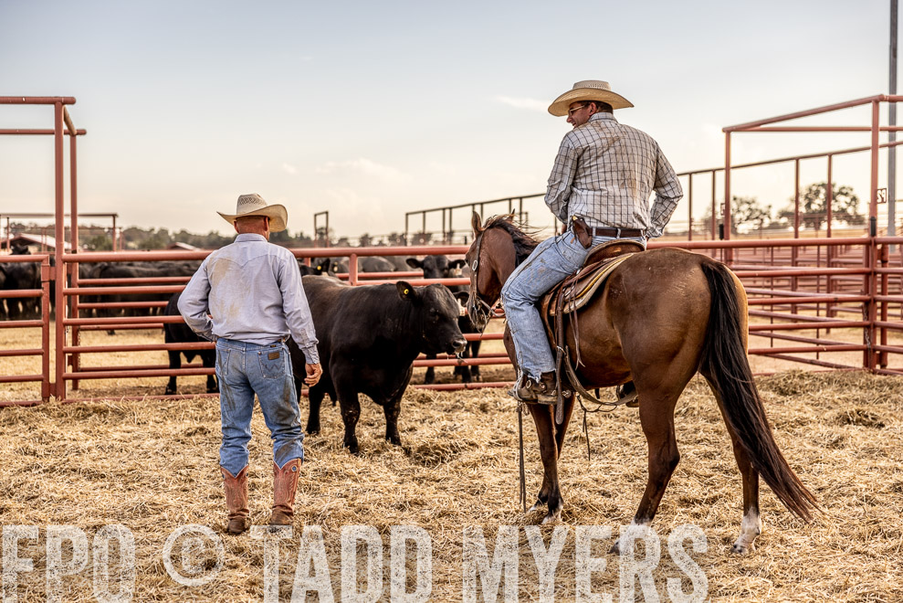 TMyers_SaleBookCover_CameronTX_Sept2021-520376