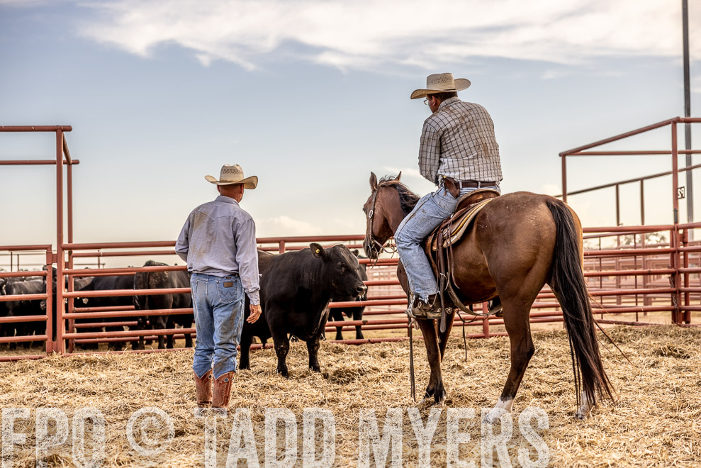 TMyers_SaleBookCover_CameronTX_Sept2021-520404