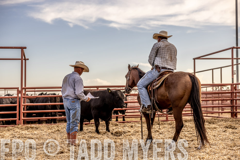 TMyers_SaleBookCover_CameronTX_Sept2021-520410