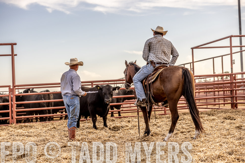 TMyers_SaleBookCover_CameronTX_Sept2021-520435
