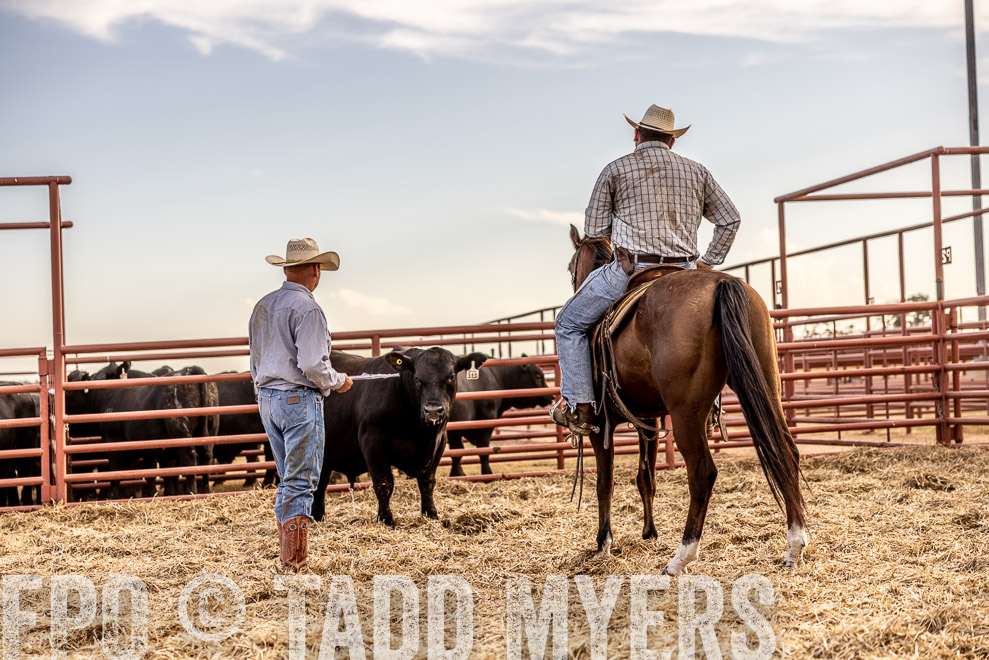 TMyers_SaleBookCover_CameronTX_Sept2021-520437