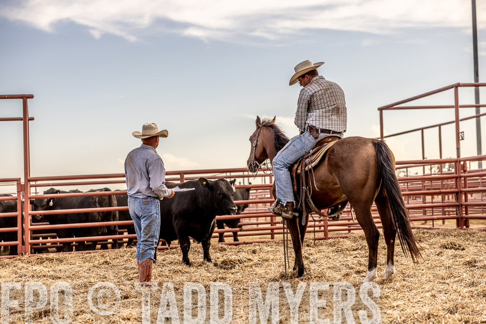 TMyers_SaleBookCover_CameronTX_Sept2021-520447