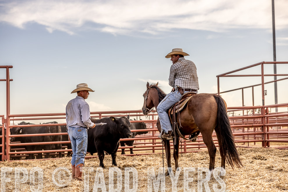 TMyers_SaleBookCover_CameronTX_Sept2021-520454