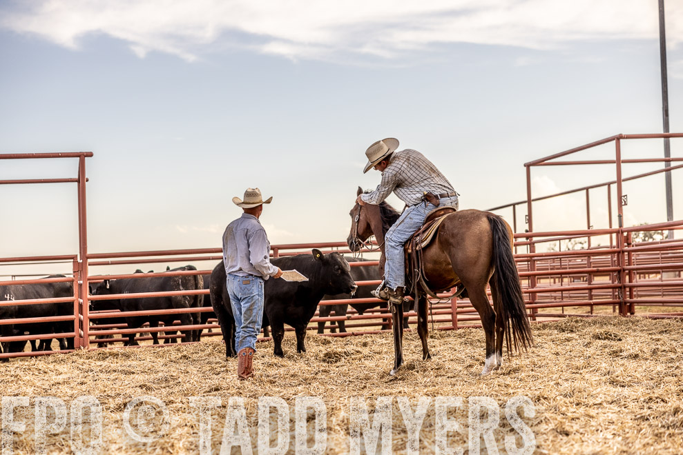 TMyers_SaleBookCover_CameronTX_Sept2021-520482
