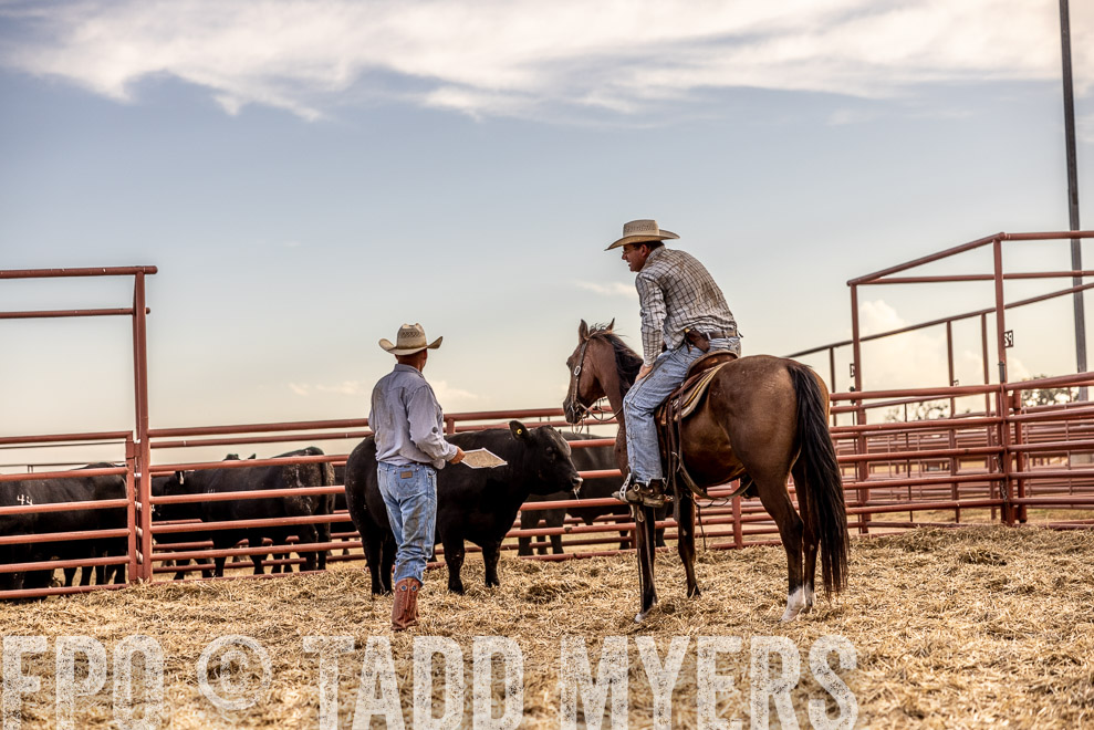 TMyers_SaleBookCover_CameronTX_Sept2021-520484