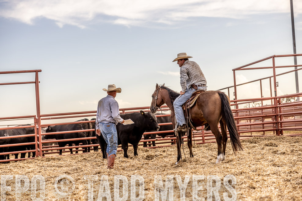 TMyers_SaleBookCover_CameronTX_Sept2021-520489