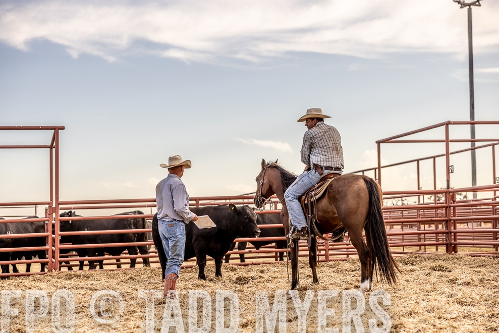 TMyers_SaleBookCover_CameronTX_Sept2021-520520
