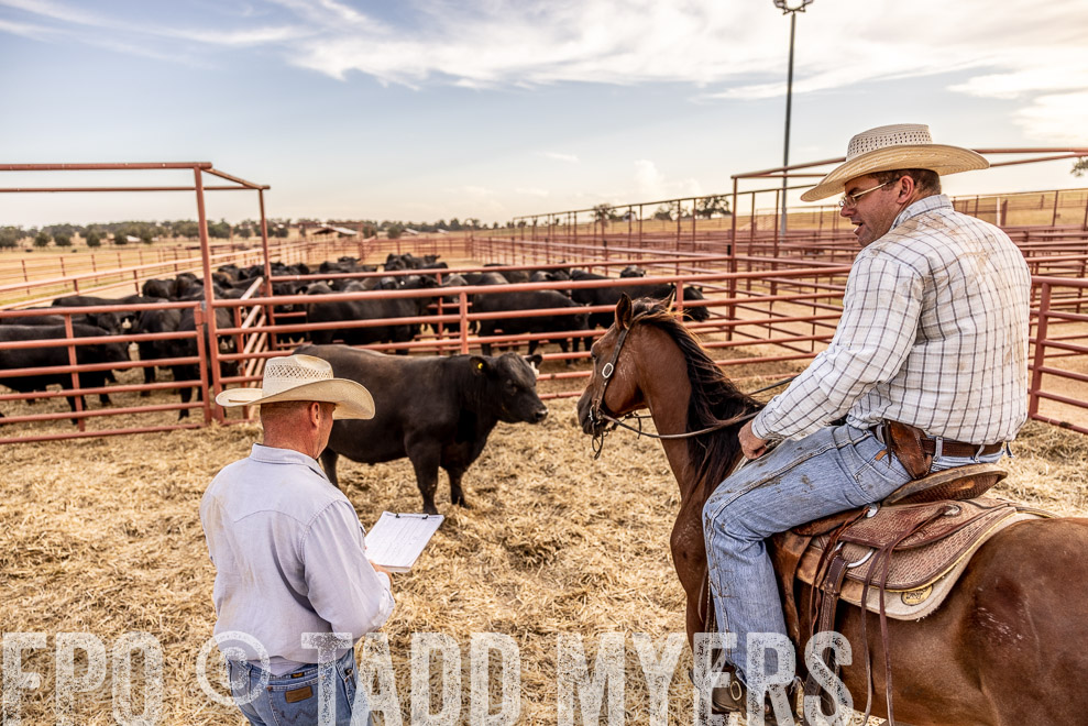 TMyers_SaleBookCover_CameronTX_Sept2021-520585