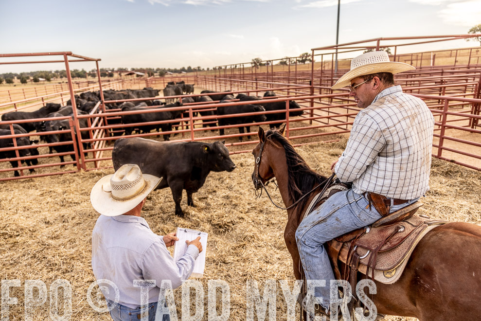 TMyers_SaleBookCover_CameronTX_Sept2021-520624