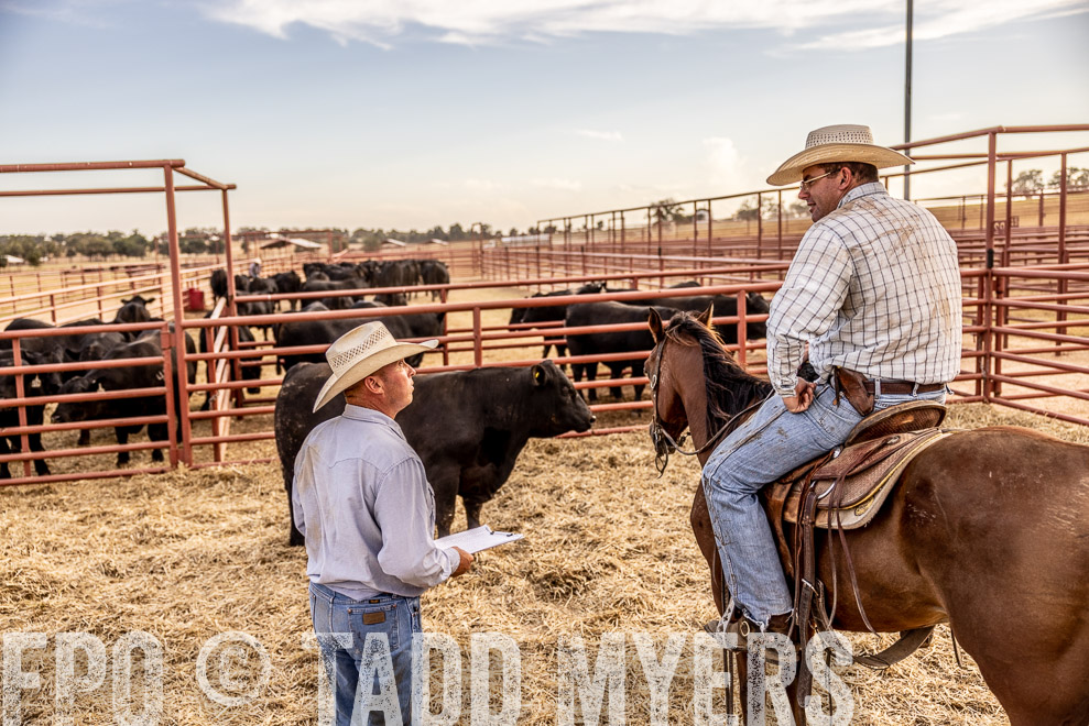 TMyers_SaleBookCover_CameronTX_Sept2021-520666