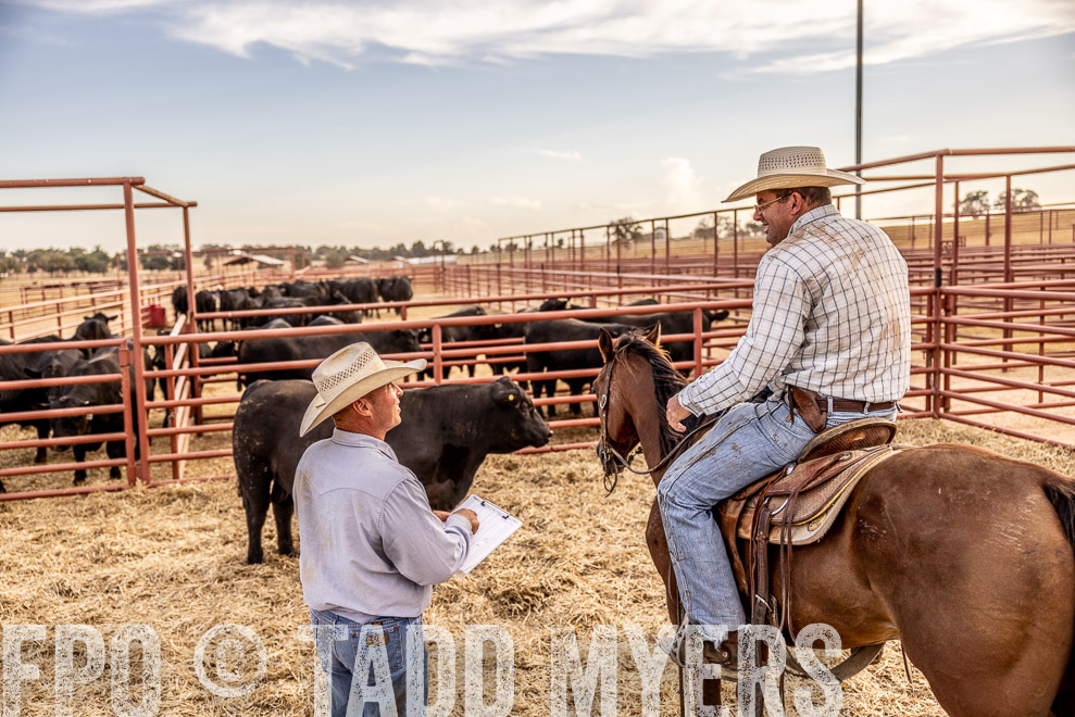 TMyers_SaleBookCover_CameronTX_Sept2021-520677