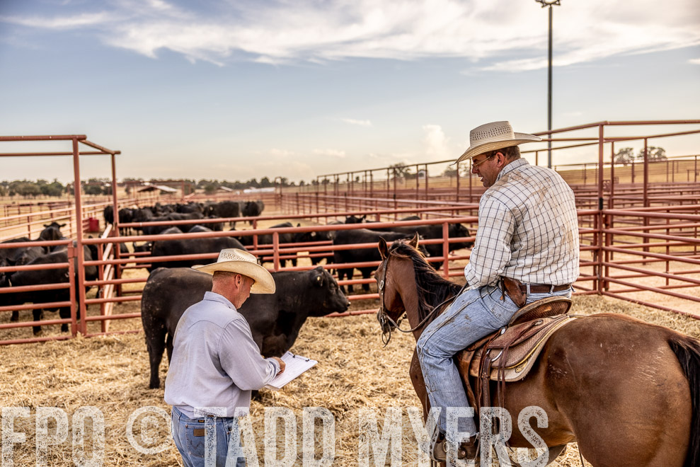 TMyers_SaleBookCover_CameronTX_Sept2021-520681