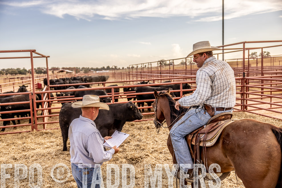 TMyers_SaleBookCover_CameronTX_Sept2021-520682