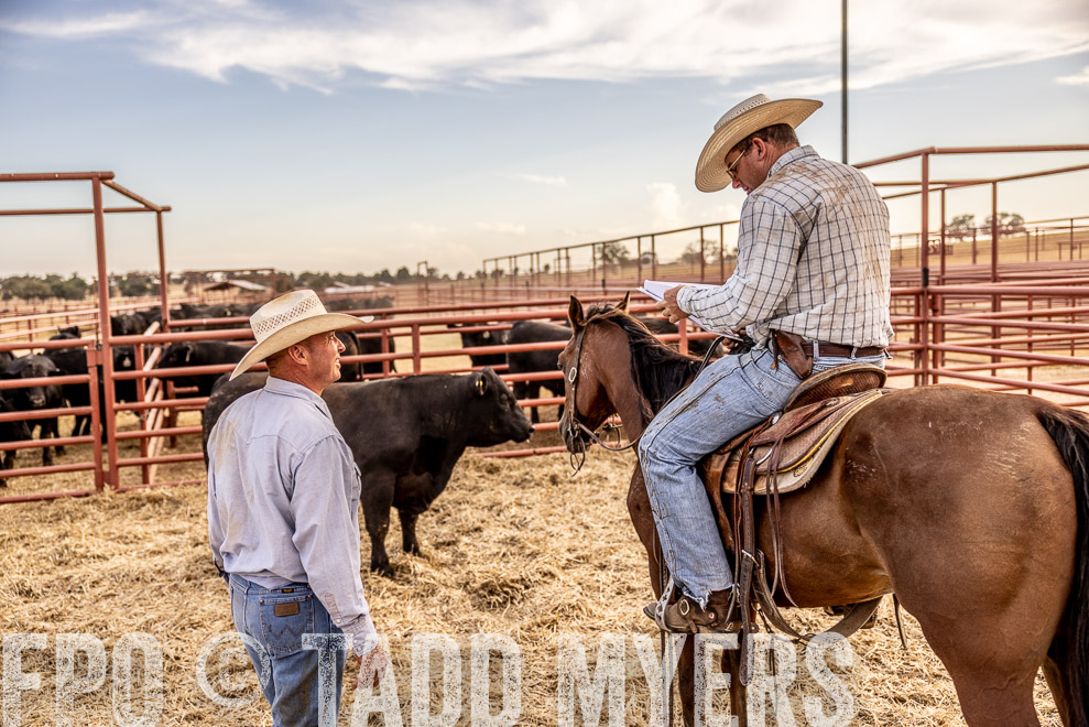 TMyers_SaleBookCover_CameronTX_Sept2021-520710