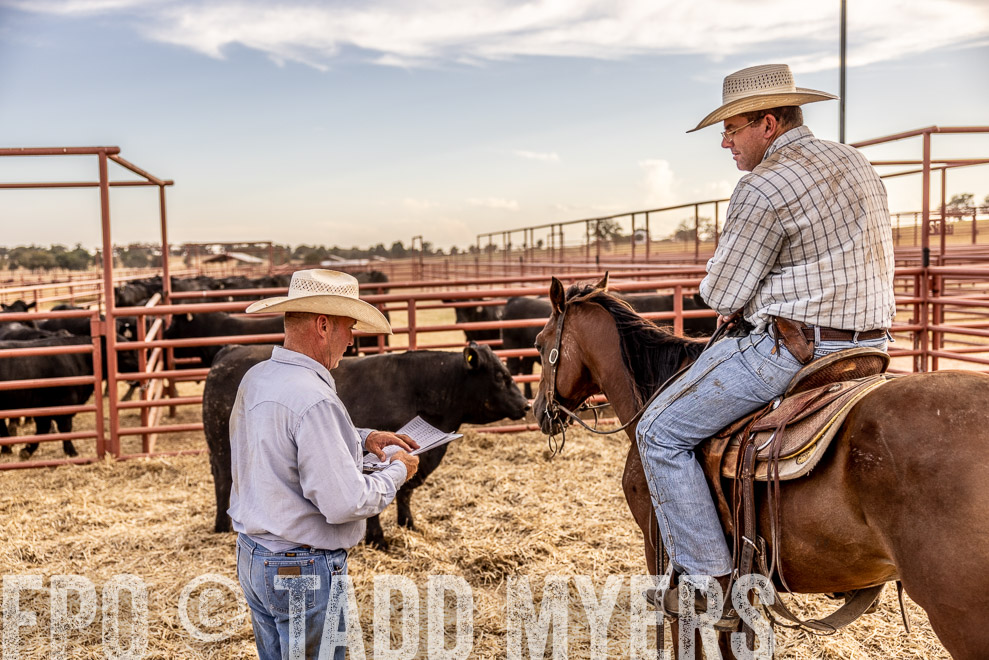 TMyers_SaleBookCover_CameronTX_Sept2021-520718