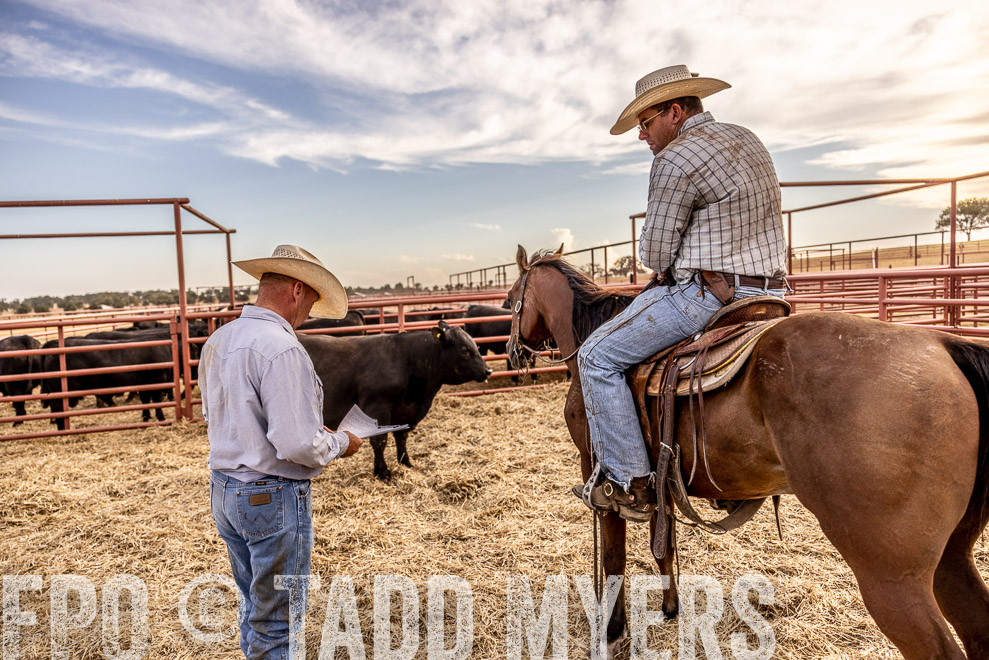 TMyers_SaleBookCover_CameronTX_Sept2021-520739