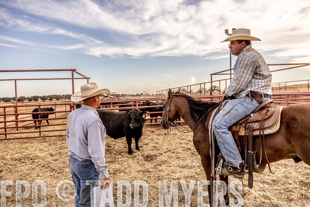 TMyers_SaleBookCover_CameronTX_Sept2021-520769