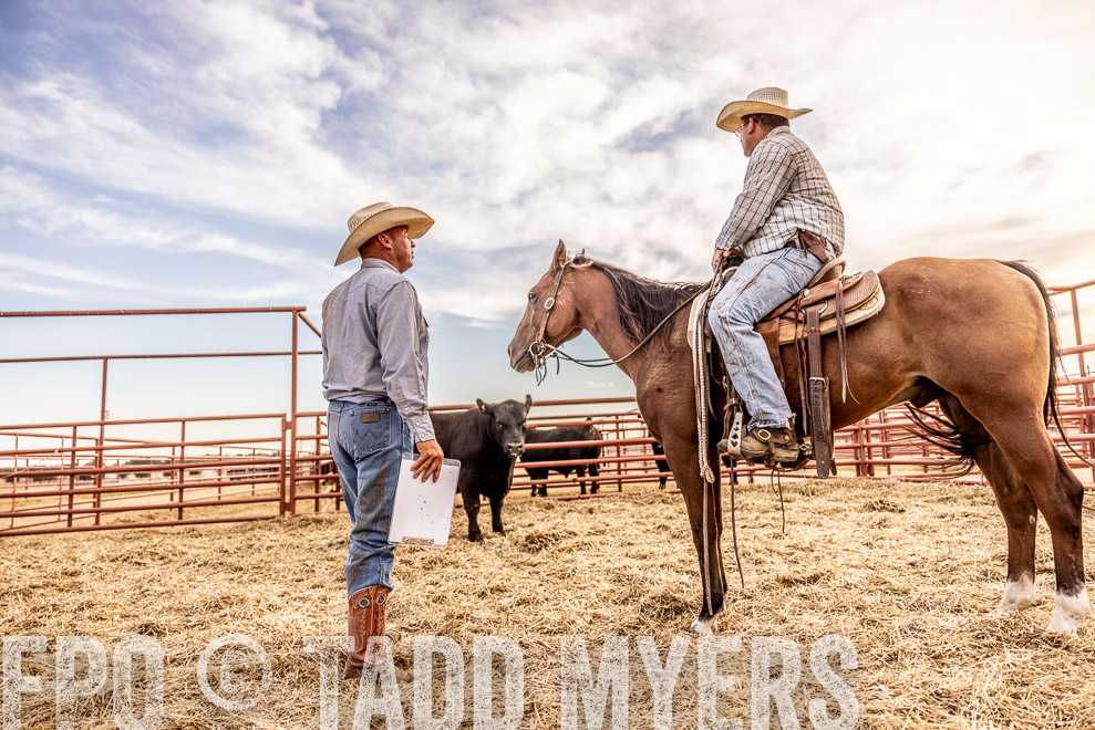 TMyers_SaleBookCover_CameronTX_Sept2021-520814