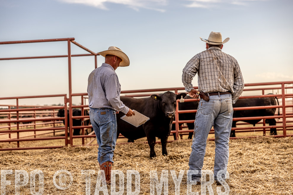 TMyers_SaleBookCover_CameronTX_Sept2021-520836