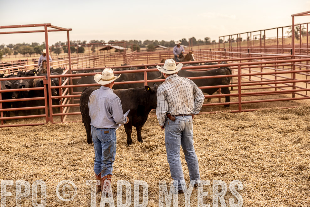 TMyers_SaleBookCover_CameronTX_Sept2021-520847