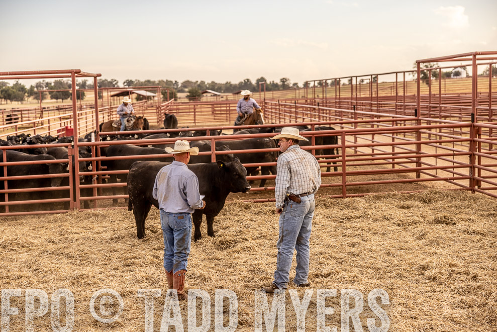 TMyers_SaleBookCover_CameronTX_Sept2021-520862