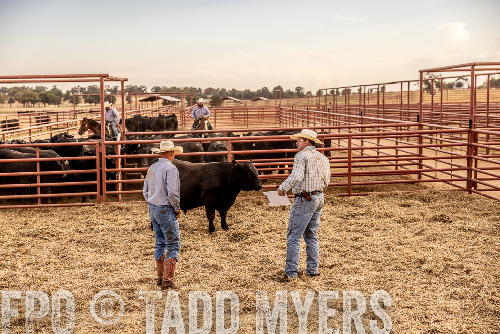 TMyers_SaleBookCover_CameronTX_Sept2021-520893
