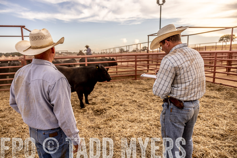 TMyers_SaleBookCover_CameronTX_Sept2021-520947
