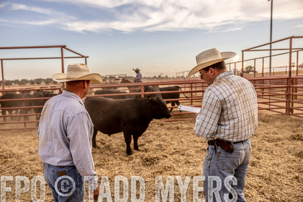 TMyers_SaleBookCover_CameronTX_Sept2021-520961