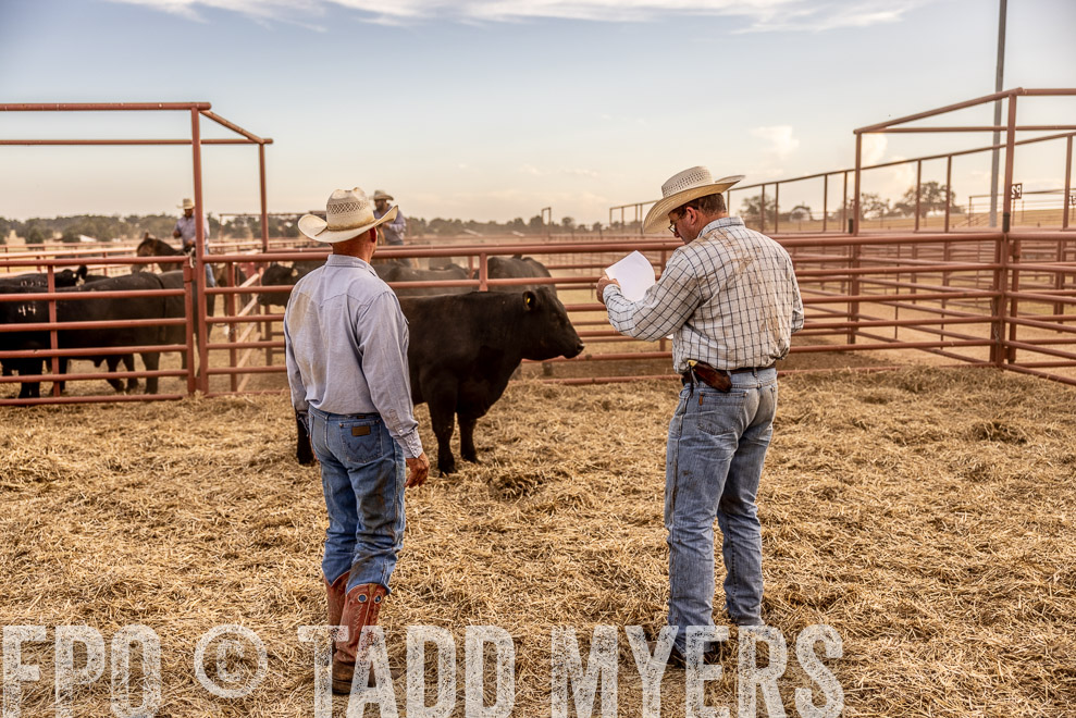 TMyers_SaleBookCover_CameronTX_Sept2021-520973