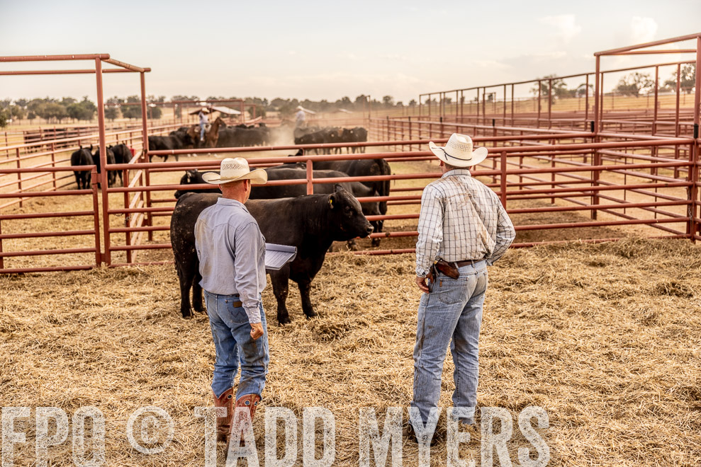 TMyers_SaleBookCover_CameronTX_Sept2021-520991