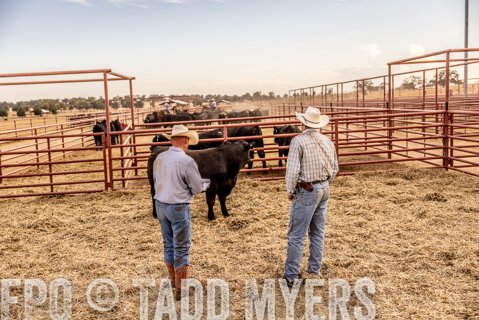 TMyers_SaleBookCover_CameronTX_Sept2021-520995