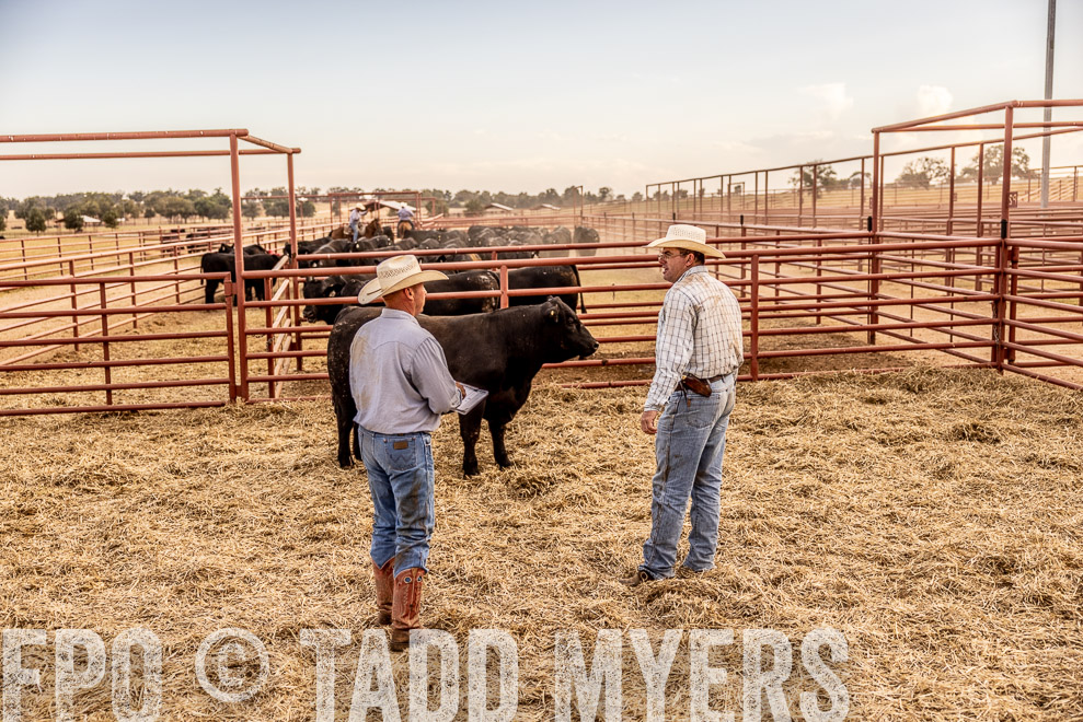 TMyers_SaleBookCover_CameronTX_Sept2021-521004
