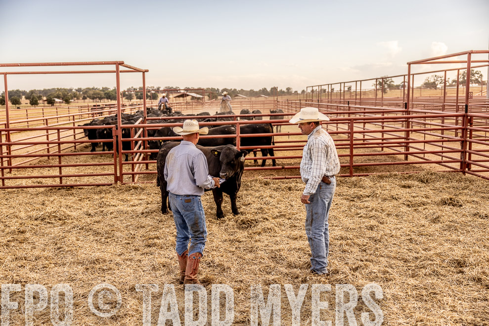 TMyers_SaleBookCover_CameronTX_Sept2021-521022
