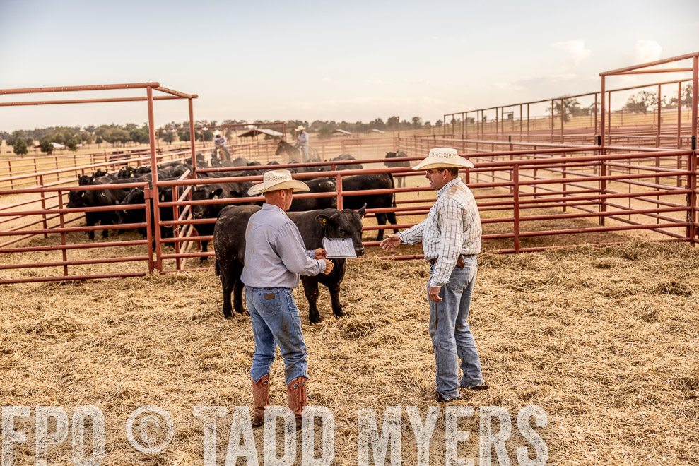 TMyers_SaleBookCover_CameronTX_Sept2021-521027