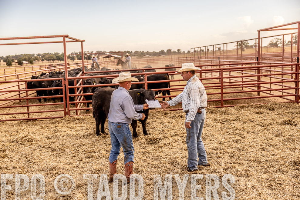 TMyers_SaleBookCover_CameronTX_Sept2021-521028