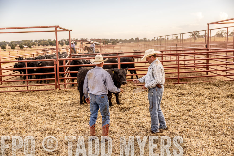 TMyers_SaleBookCover_CameronTX_Sept2021-521035